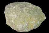 Keokuk Quartz Geode with Calcite - Iowa #144711-1